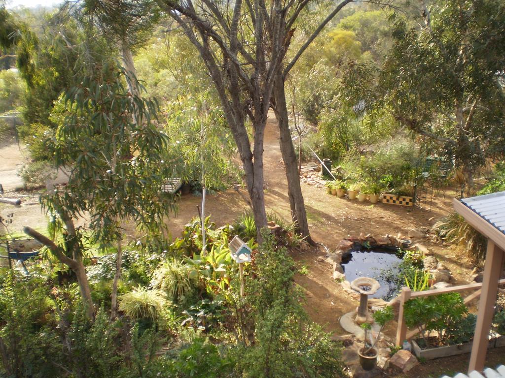 مبيت وإفطار Toodyay Floravalley المظهر الخارجي الصورة