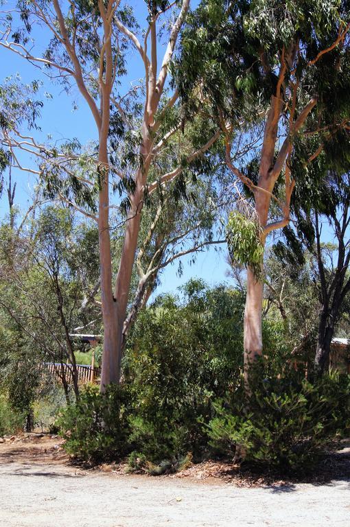 مبيت وإفطار Toodyay Floravalley المظهر الخارجي الصورة